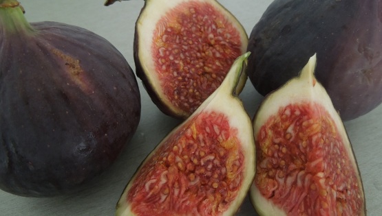 Figy ovocie
