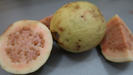 Guava ovocie