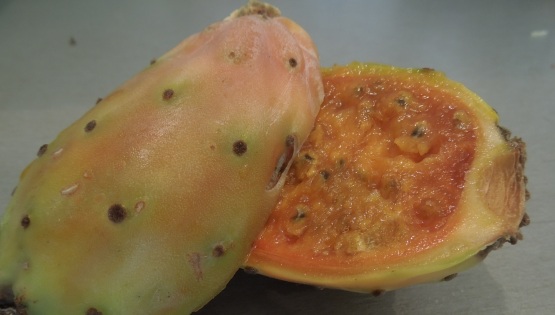 Kaktusova figa ovocie