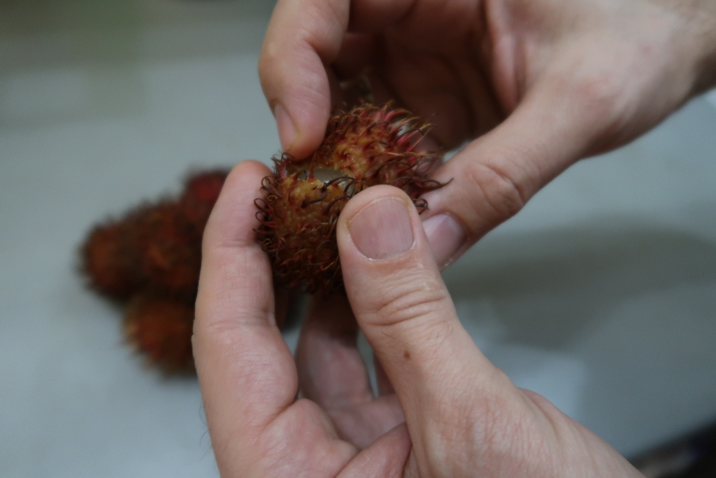 Ovocie rambutan