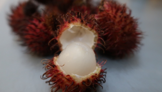 Rambután ovocie
