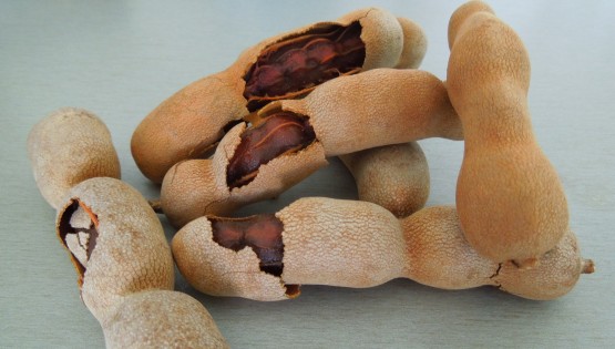 Tamarind ovocie