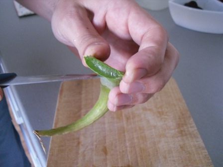 Aloe spracovanie