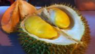 Durian