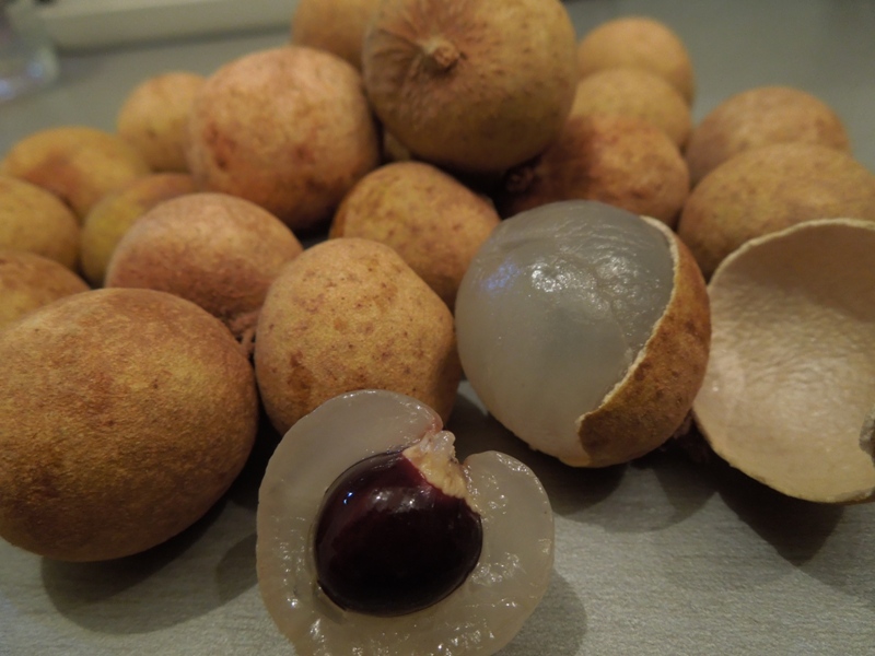 longan