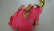 Pitahaya