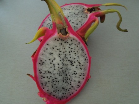 Pitahaya