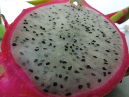 Pitahaya