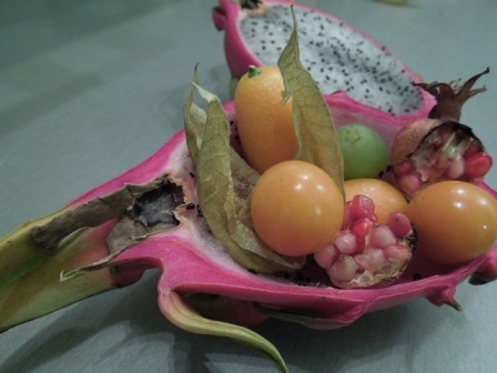 Pitahaya