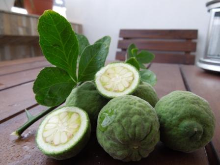 mrazuvzorný citrus